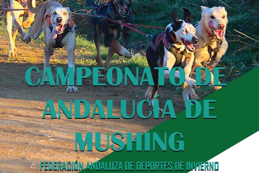 Casi 100 deportistas participan en el Cto de Andalucía de Mushing